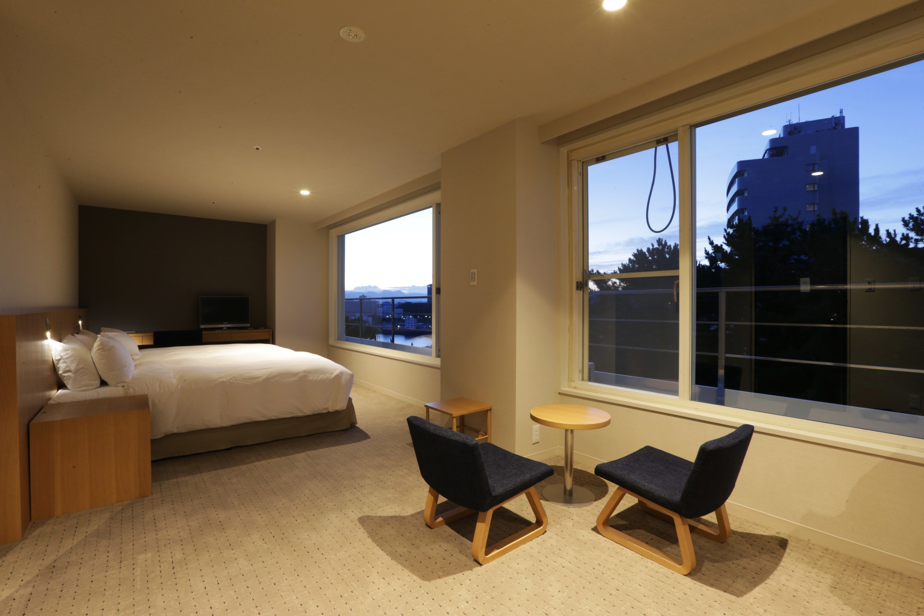 standard twin room, non smoking, 30sqm, up to 2 guests | down duvets, in-room safe, desk, free wifi