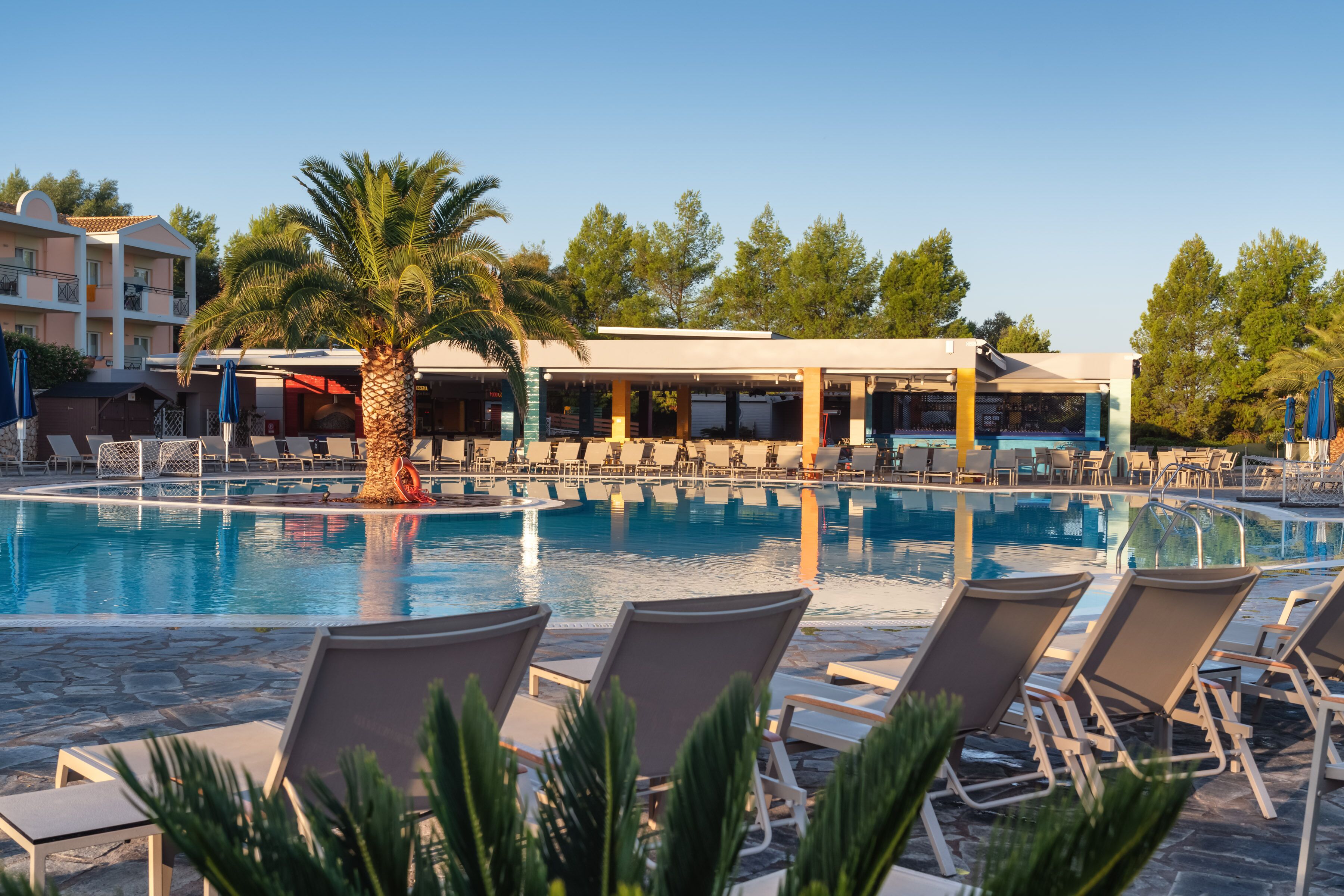 Un espace piscine avec des chaises longues, un palmier et un coin salon abrité.