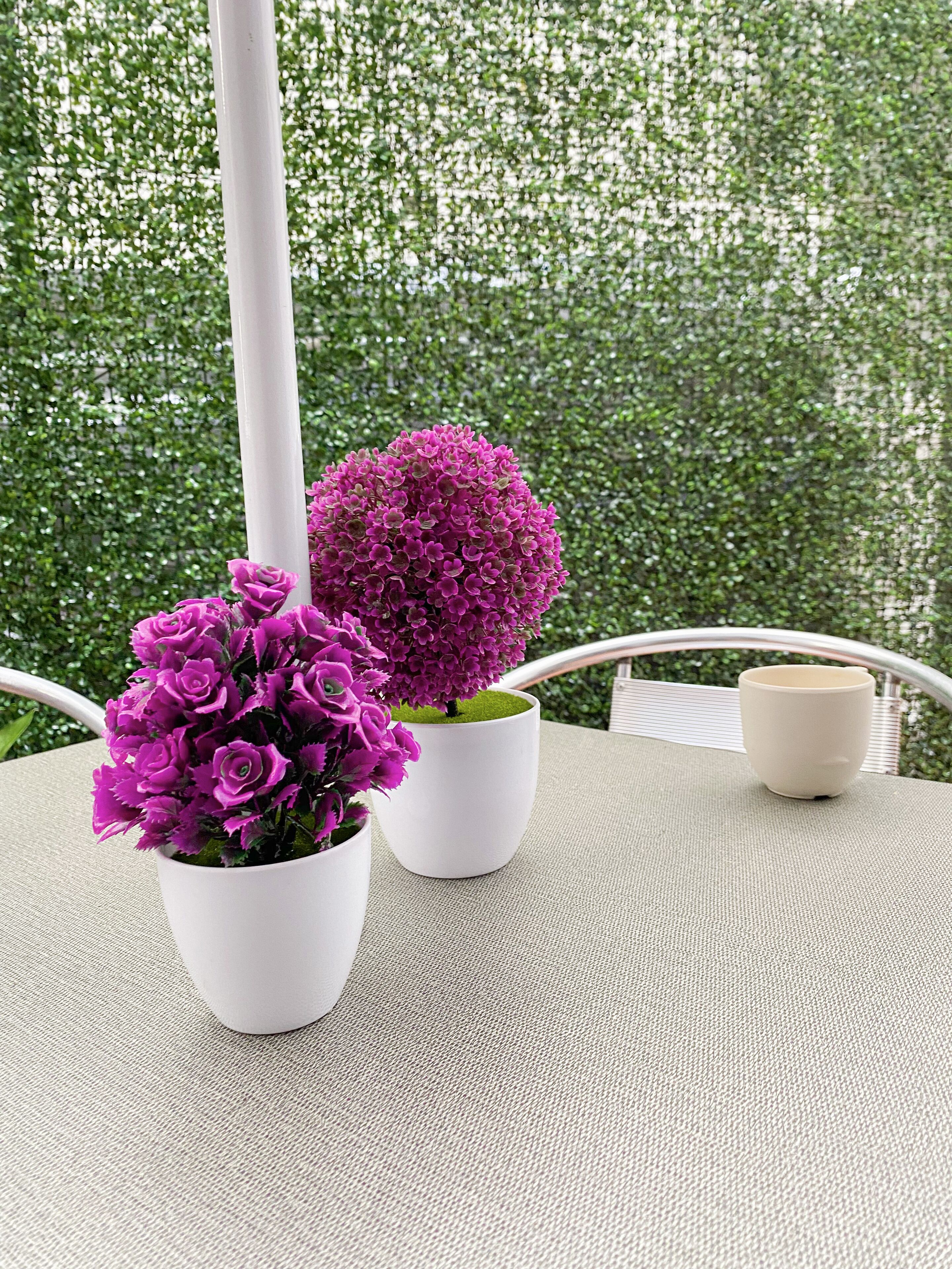 Photo - Hotel Amigo Suites