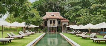 Temple Tree at Bon Ton