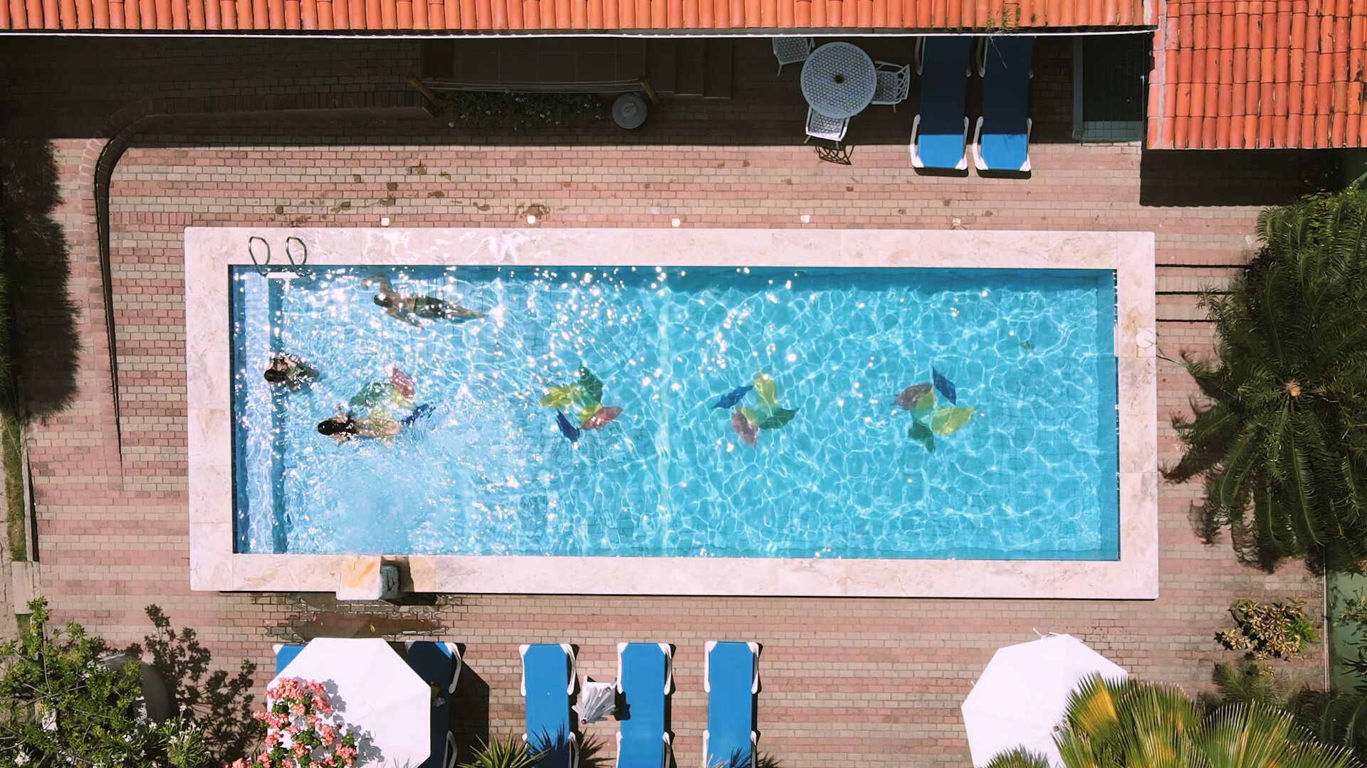 A rectangular swimming pool with clear blue water, surrounded by a brick wall, and equipped with lounge chairs and umbrellas.