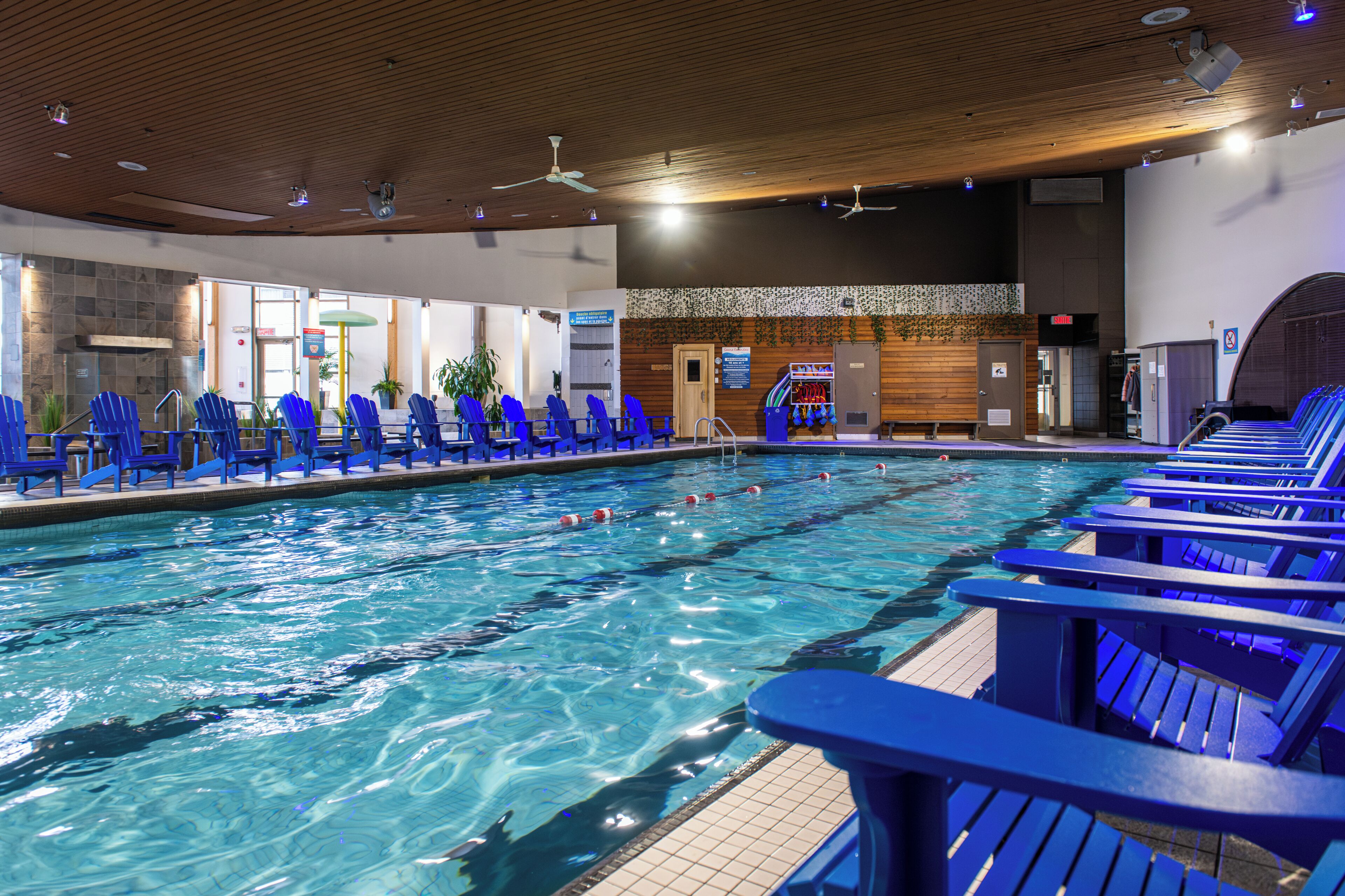Indoor pool, outdoor pool, pool loungers