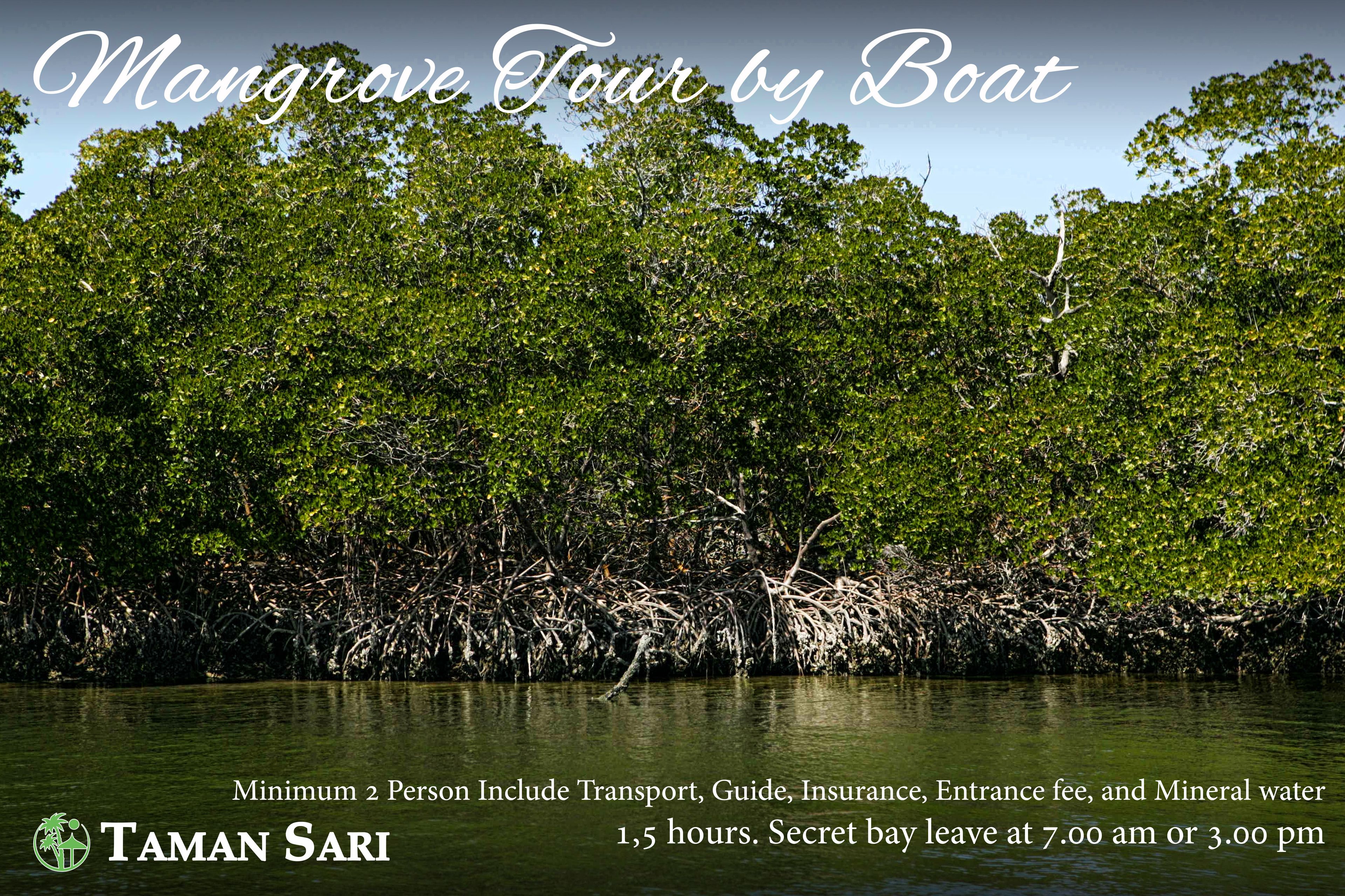 Recorrido en barco por el manglar con un mínimo de 2 personas, incluye transporte, guía, seguro, tarifa de entrada y agua mineral. El recorrido dura 1.5 horas, con salida a una cala secreta a las 7:00 a.m. o a las 3:00 p.m.