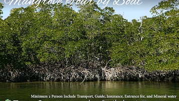Recorrido en barco por el manglar con un mínimo de 2 personas, incluye transporte, guía, seguro, tarifa de entrada y agua mineral. El recorrido dura 1.5 horas, con salida a una cala secreta a las 7:00 a.m. o a las 3:00 p.m.
