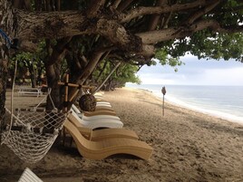 Vista desde la propiedad