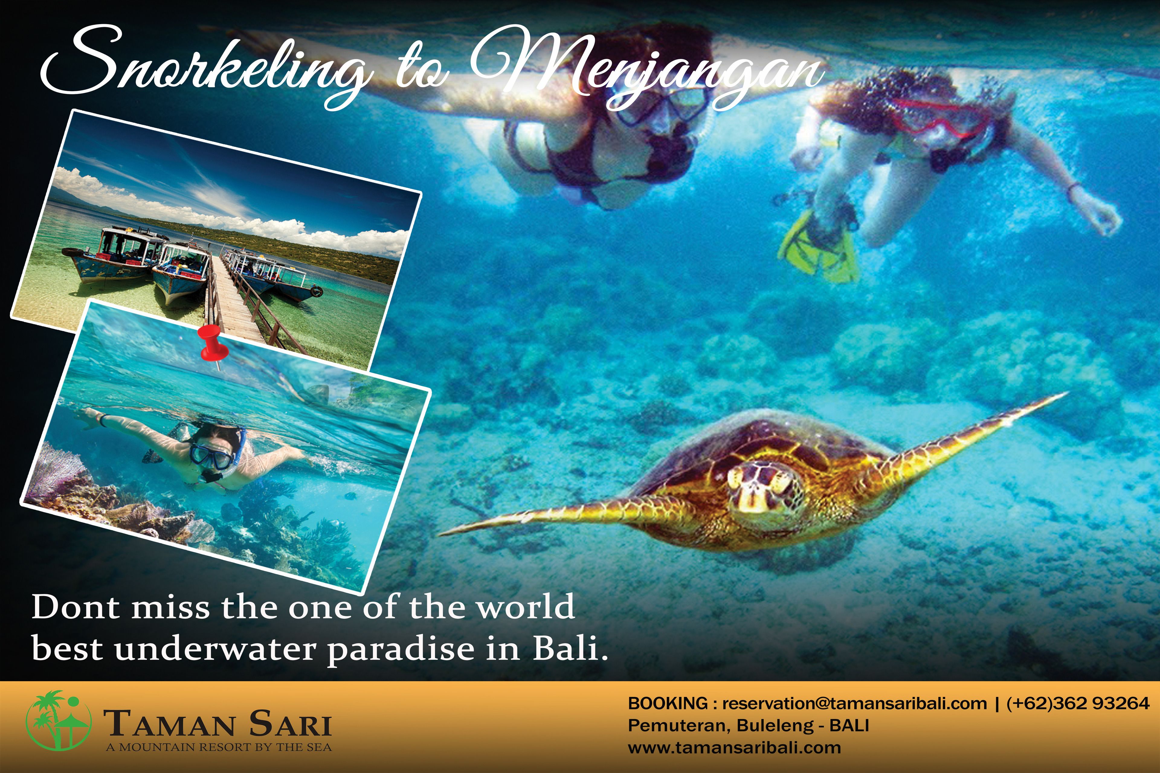 A brochure for snorkeling in Menjangan, Bali, featuring underwater scenes and a turtle.