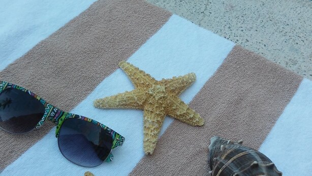 A striped towel with starfish and a shell on it. - Balajú Hotel & Suites (Veracruz)
