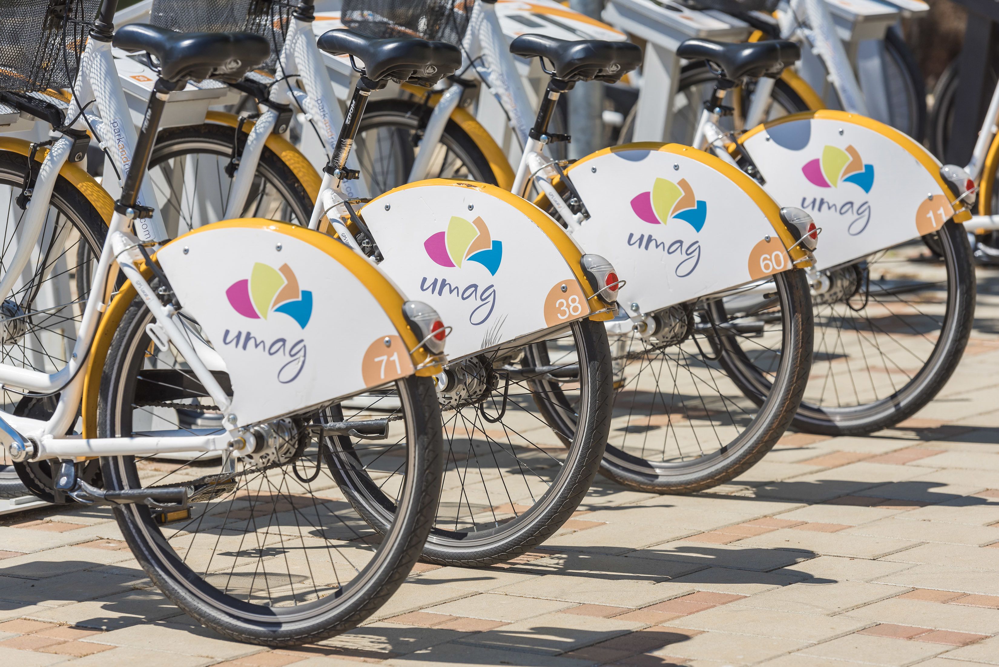 Eine Reihe von Fahrrädern mit dem 'umag'-Logo und Nummern.