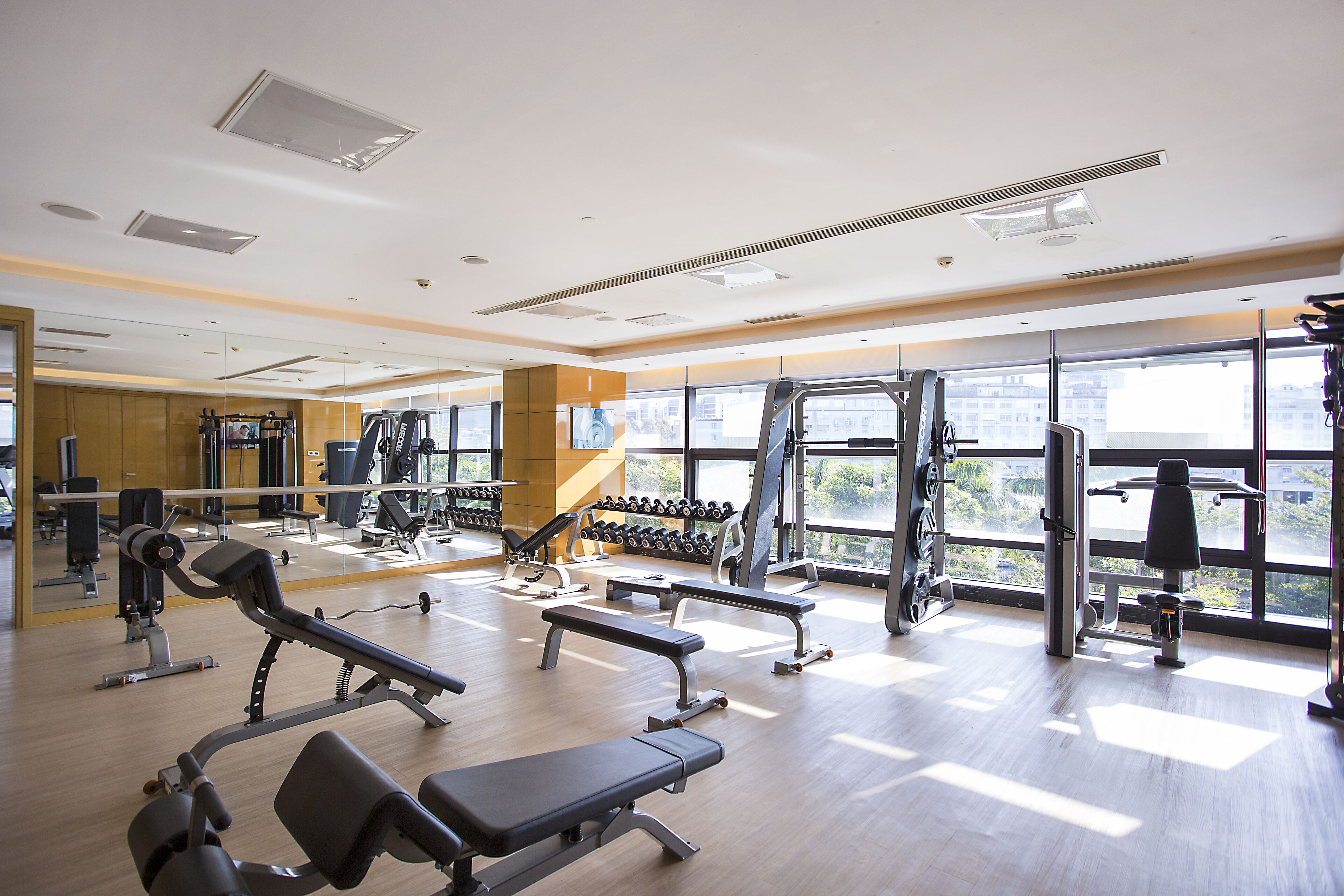 executive suite, club lounge access | fitness facility