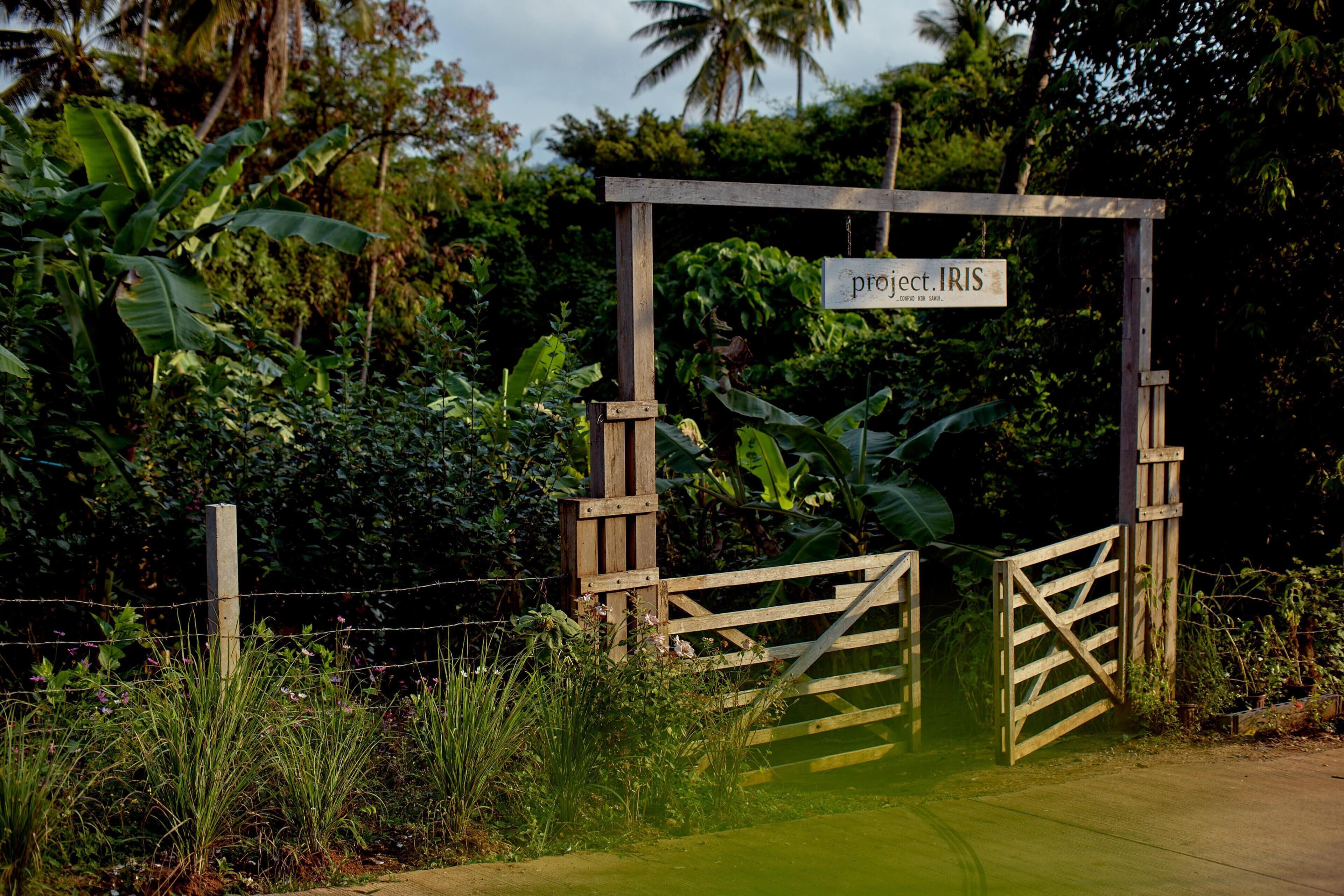 Foto - Conrad Koh Samui