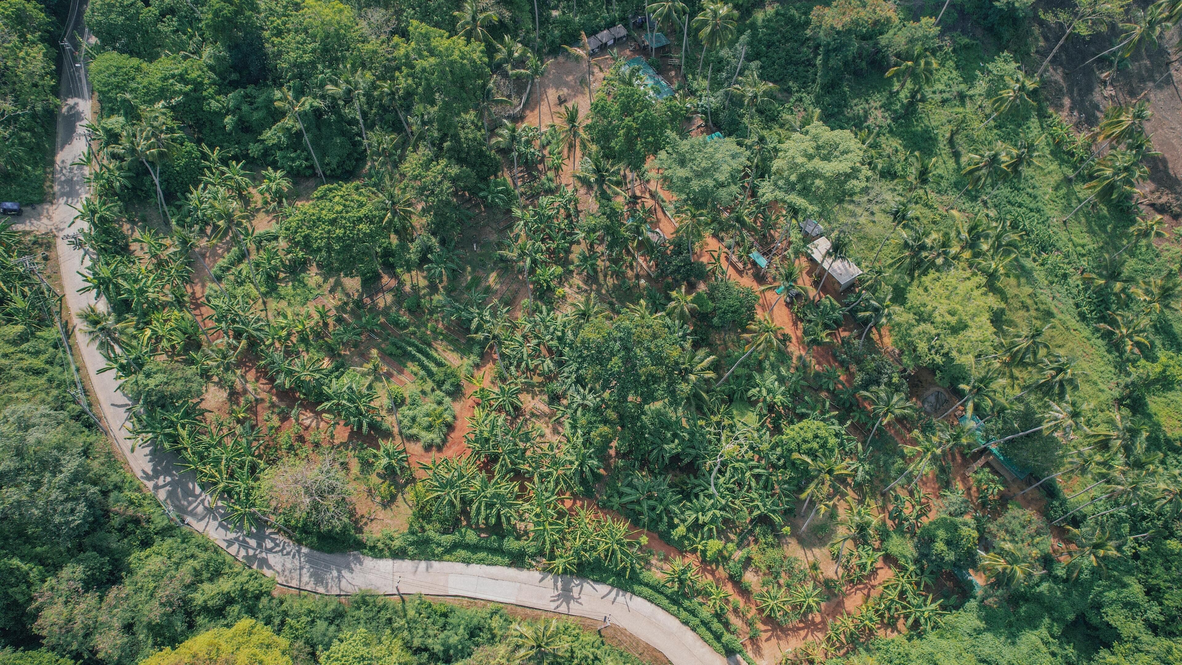 Foto - Conrad Koh Samui