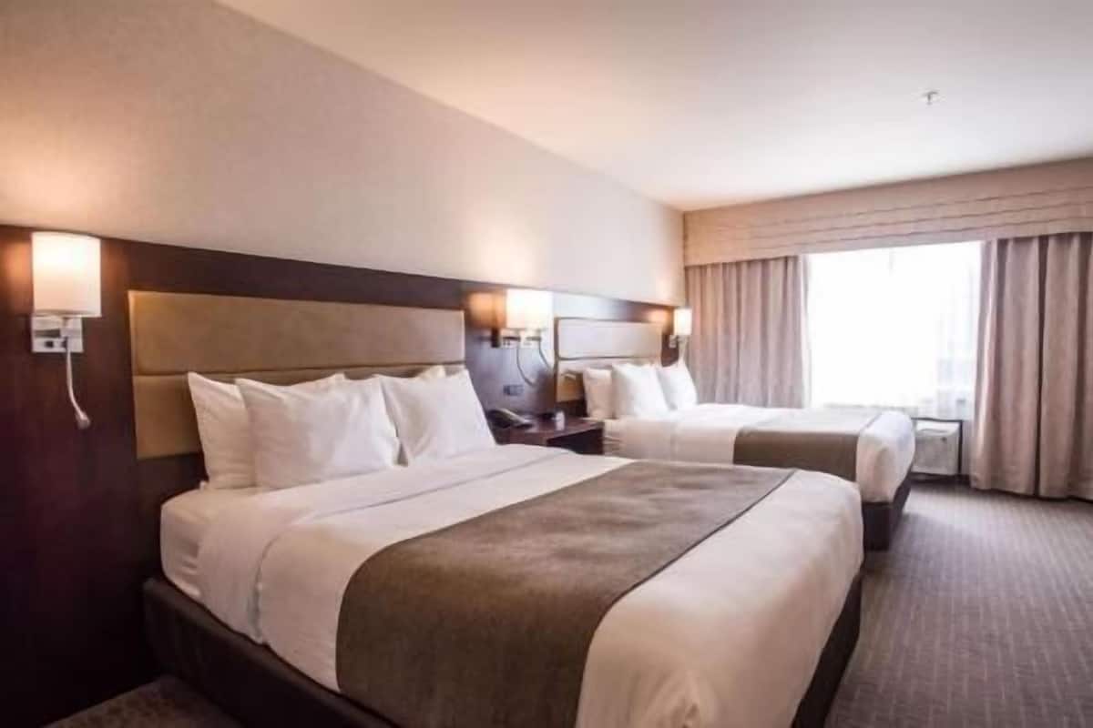 Premium bedding, pillow-top beds, desk, laptop workspace