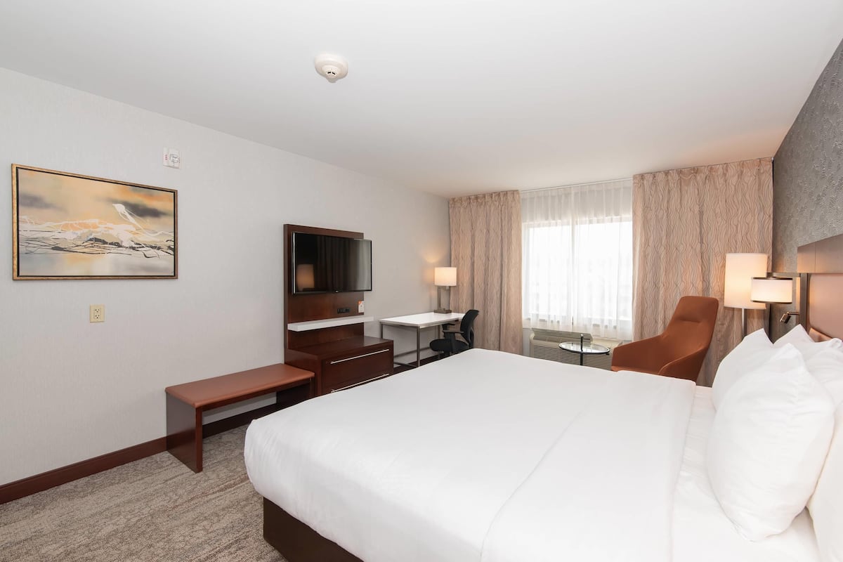 Quarto de hotel com uma cama grande, uma escrivaninha, uma cadeira, uma televisão e um quadro na parede.