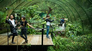 Una terraza de madera con barandillas metálicas, rodeada de abundante vegetación y una estructura de cristal en la parte superior.