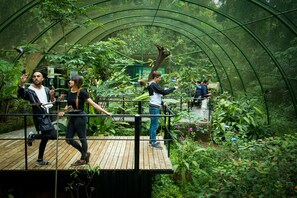 Ecotours - Tapirus Lodge (Guapiles)