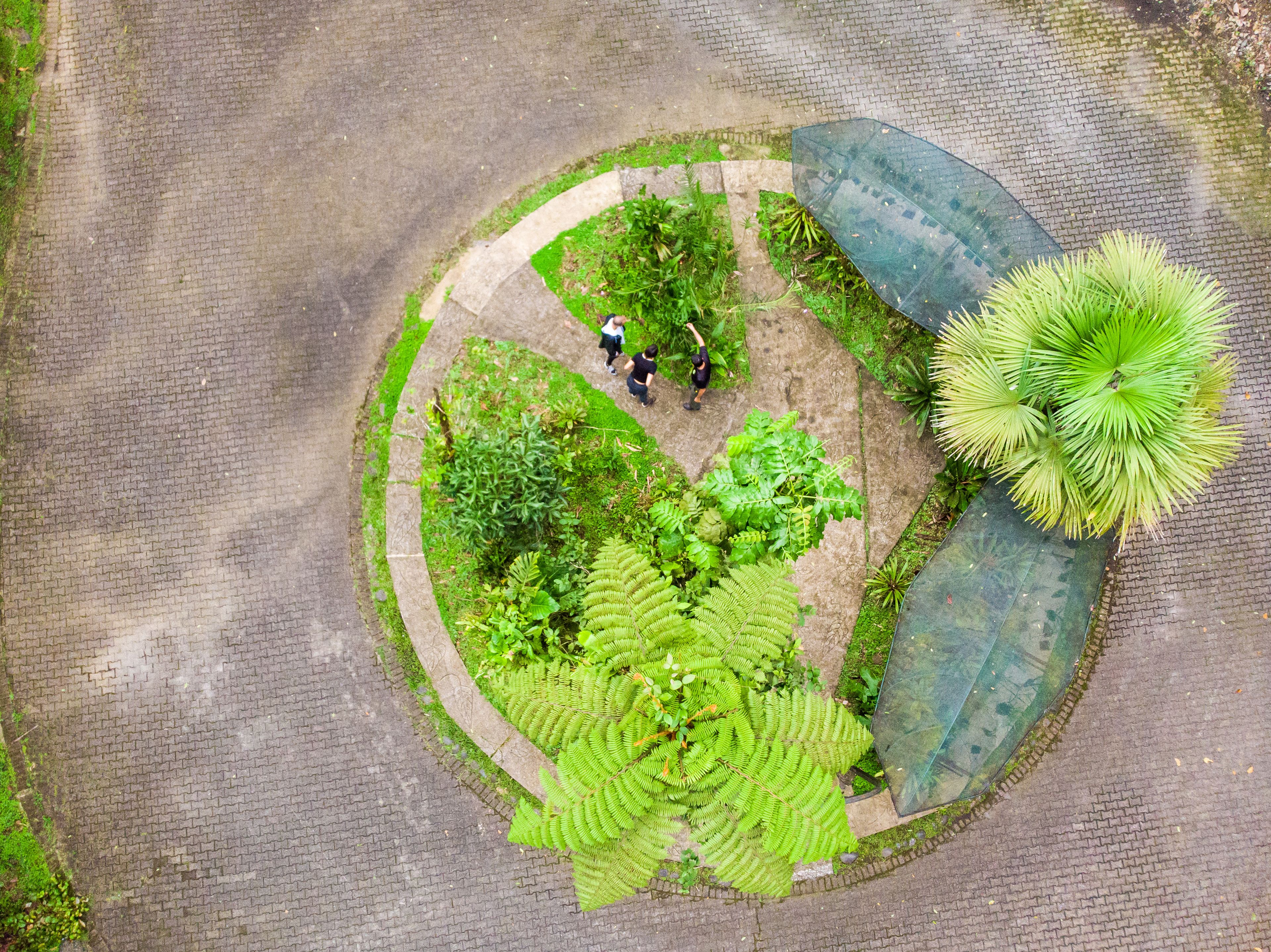 Foto - Tapirus Lodge and Reserve