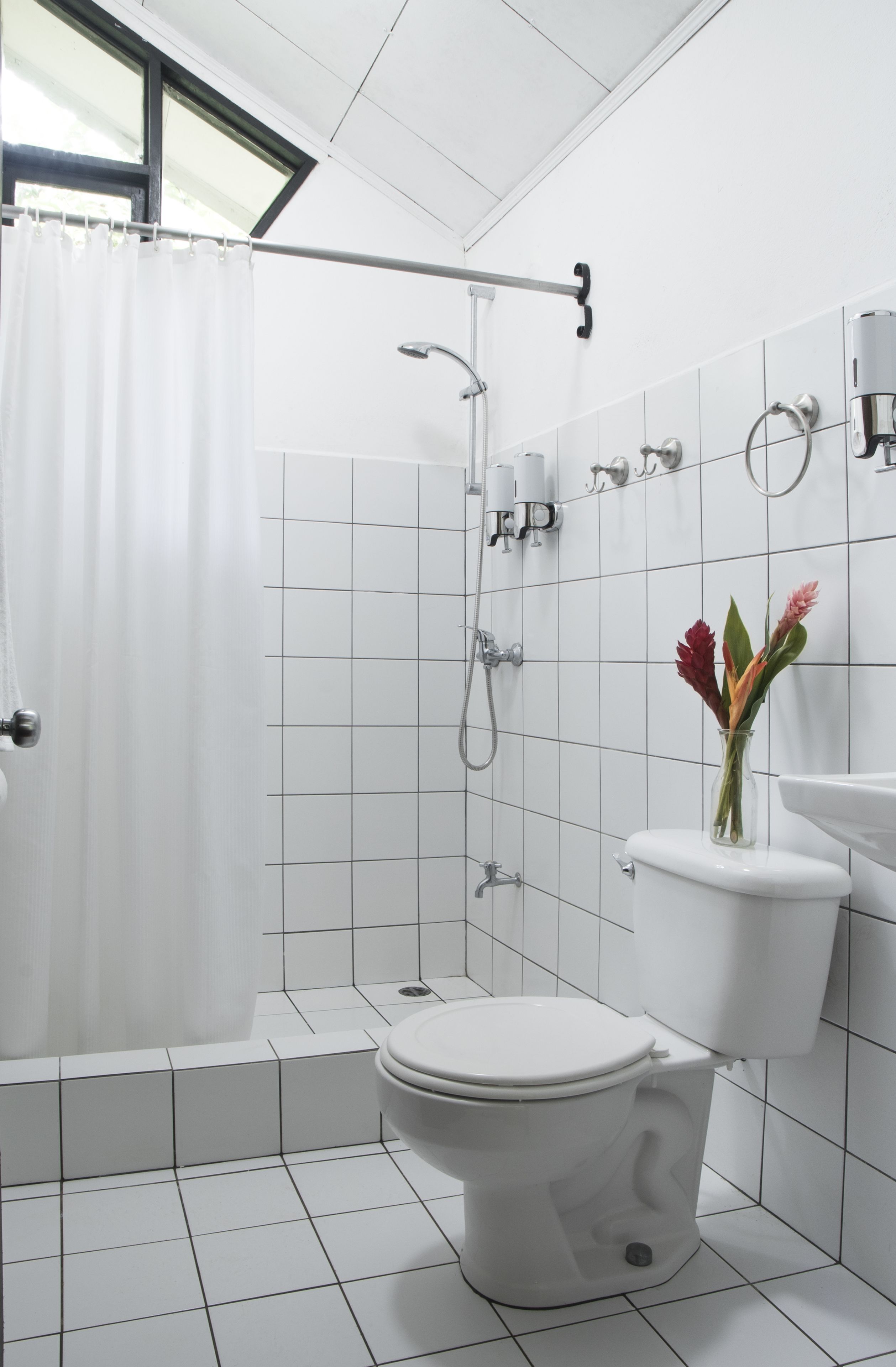 Foto - Tapirus Lodge and Reserve