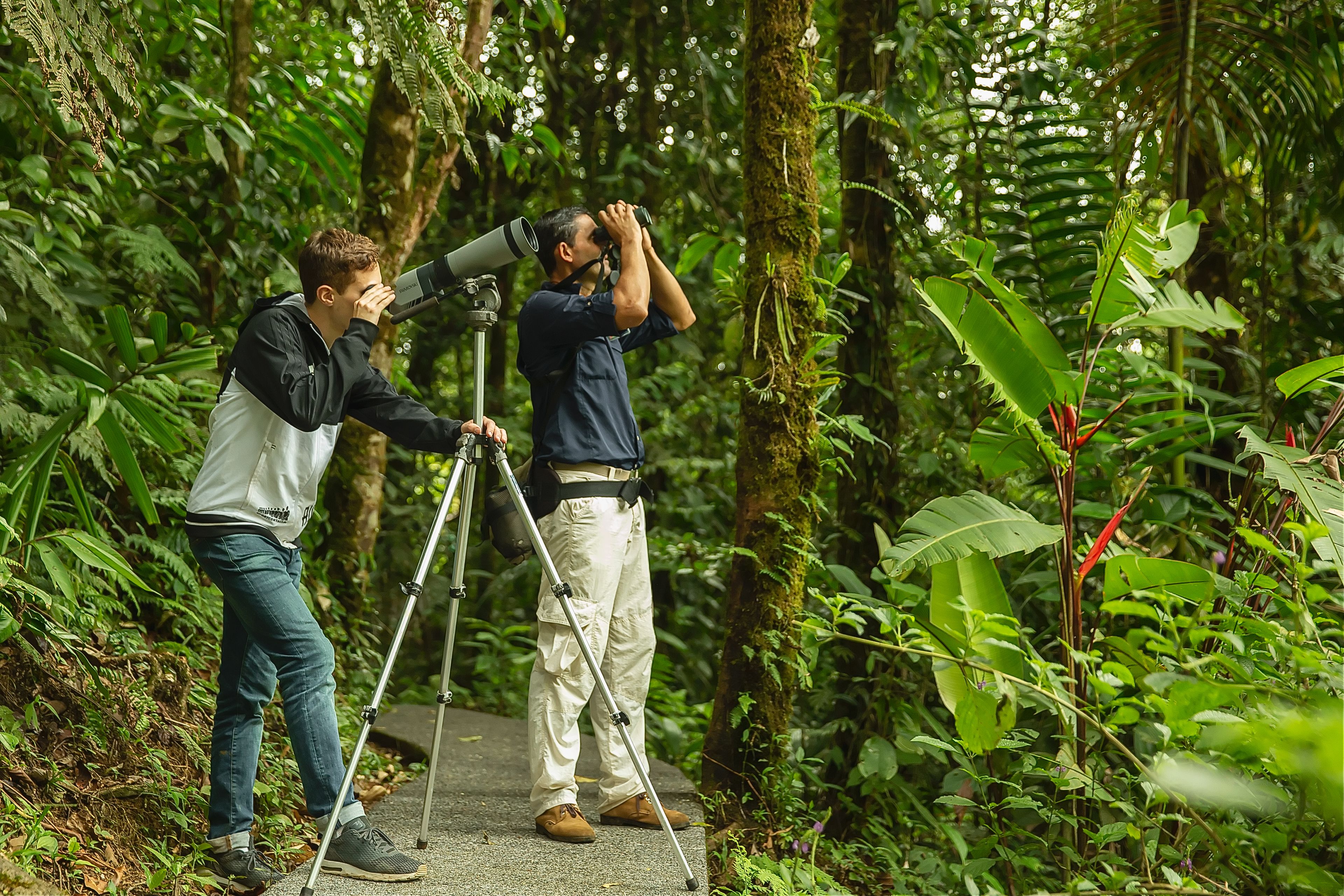Dos personas usando binoculares en un entorno forestal frondoso y verde.