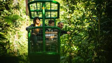 A green cable car with three passengers, surrounded by dense foliage.
