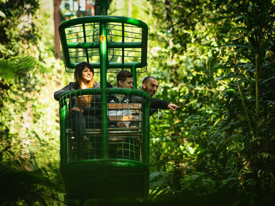 A green cable car with three passengers, surrounded by dense foliage.