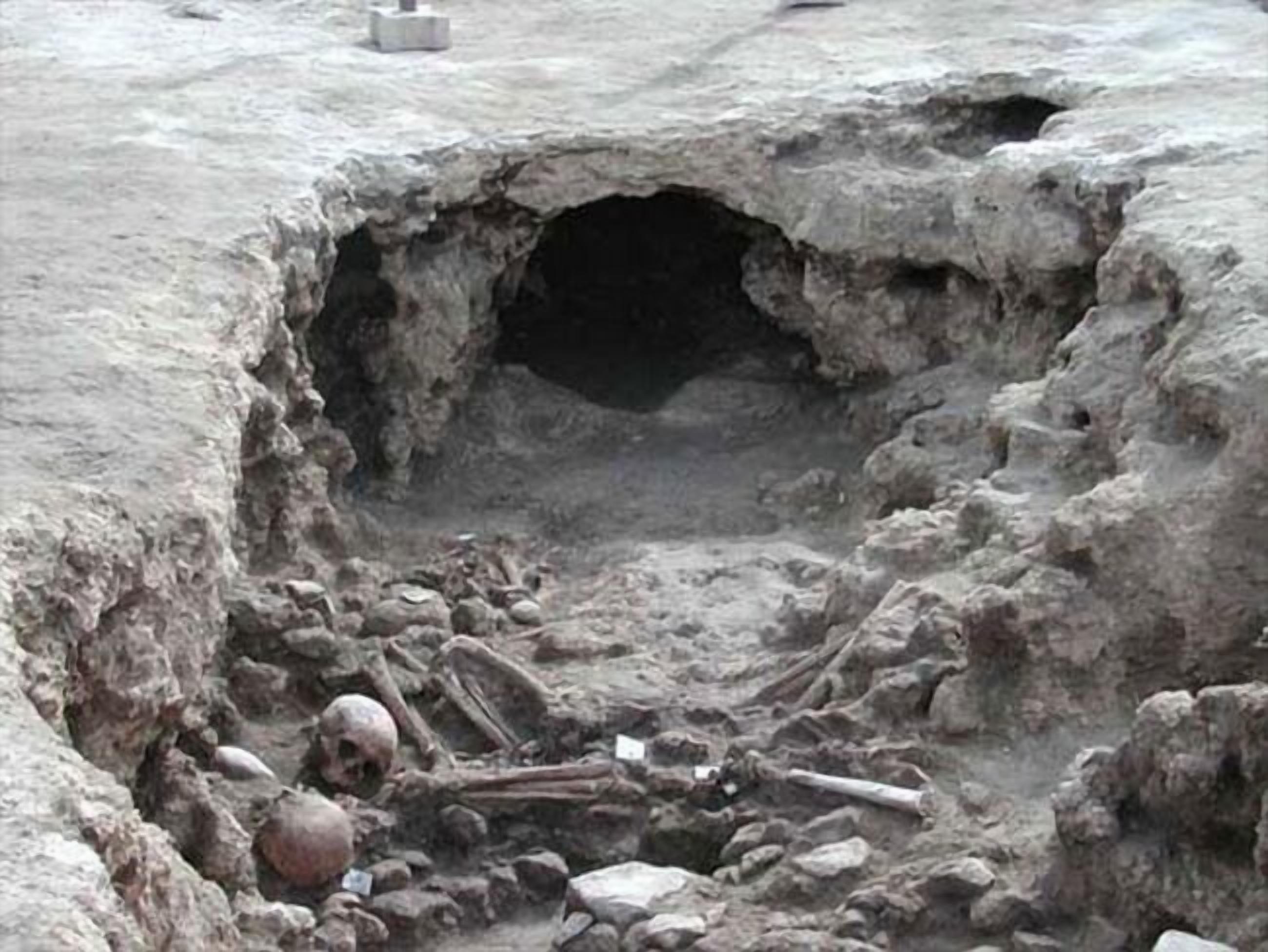 A large excavation site with exposed skeletal remains and bones.