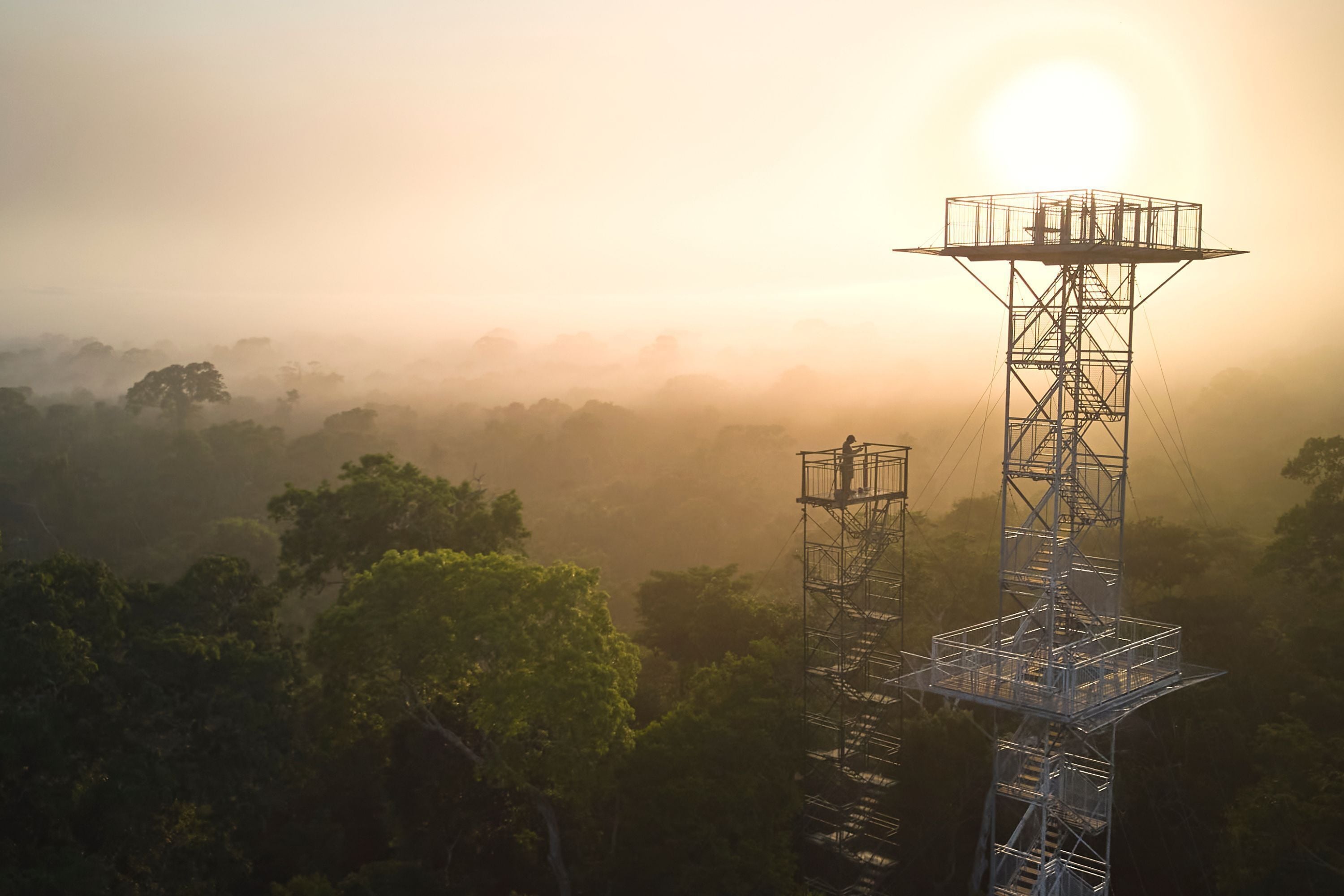 A tall communication tower amidst a forested landscape with a sunrise or sunset in the background.