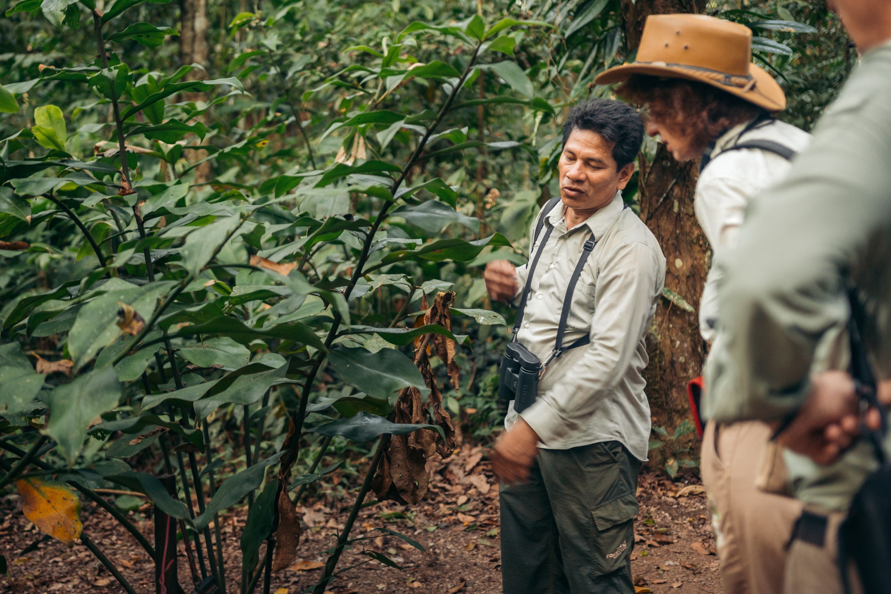 A group of people in a forested area with dense vegetation.
