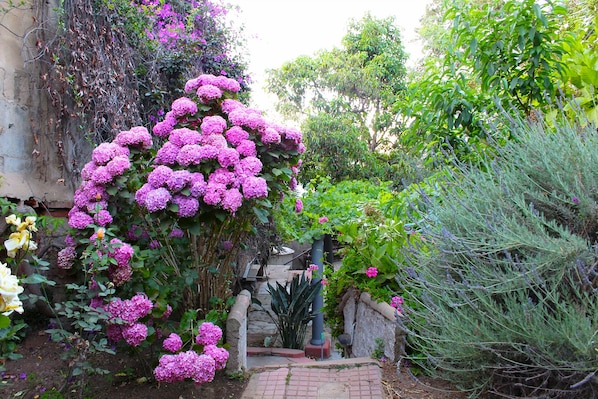 Garden - Hotel & Spa Mon Reve (Valparaiso)