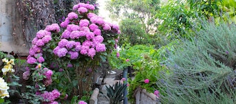 Hotel & Spa Mon Reve