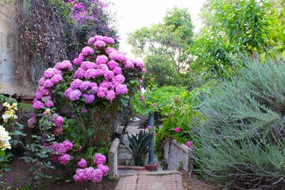 Hotel & Spa Mon Reve