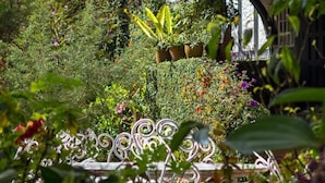 Una casa tradizionale con struttura a graticcio e tetto di paglia, circondata da vegetazione rigogliosa e piante in fiore.