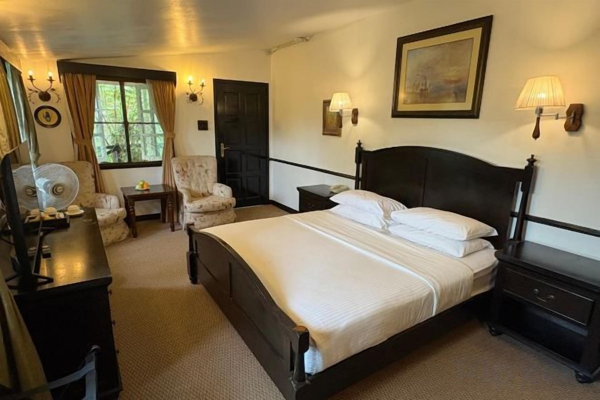 Minibar, desk, iron/ironing board (on request), free WiFi