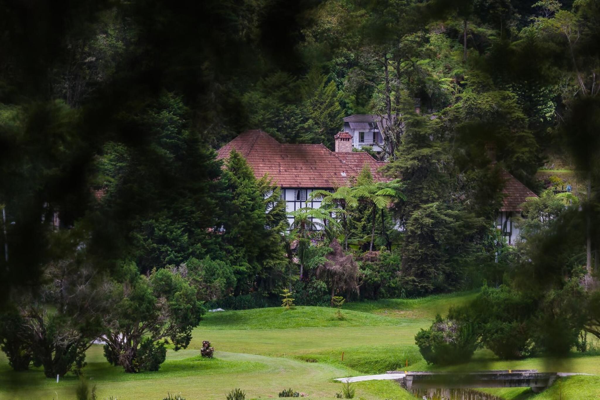 A large house surrounded by dense forest, with a well-maintained lawn and a small pond.