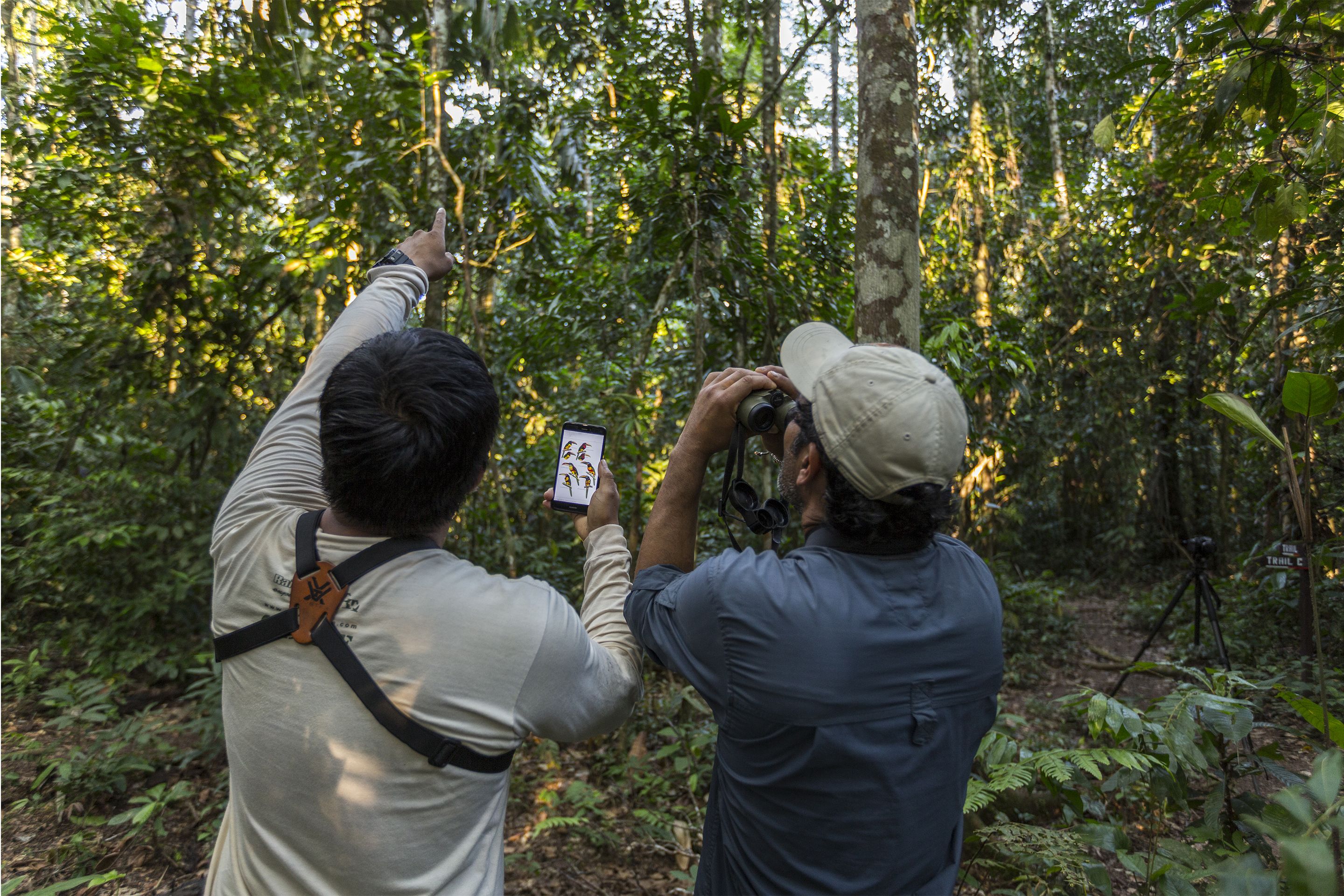 Two individuals in a forested area, one holding a smartphone and the other using binoculars.