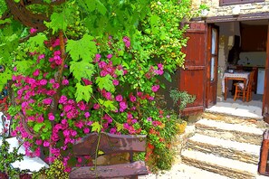 Studio | Jardin