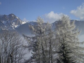 A mountainous landscape with snow-covered trees and a clear sky. - Résidence Chamossaire (Leysin)