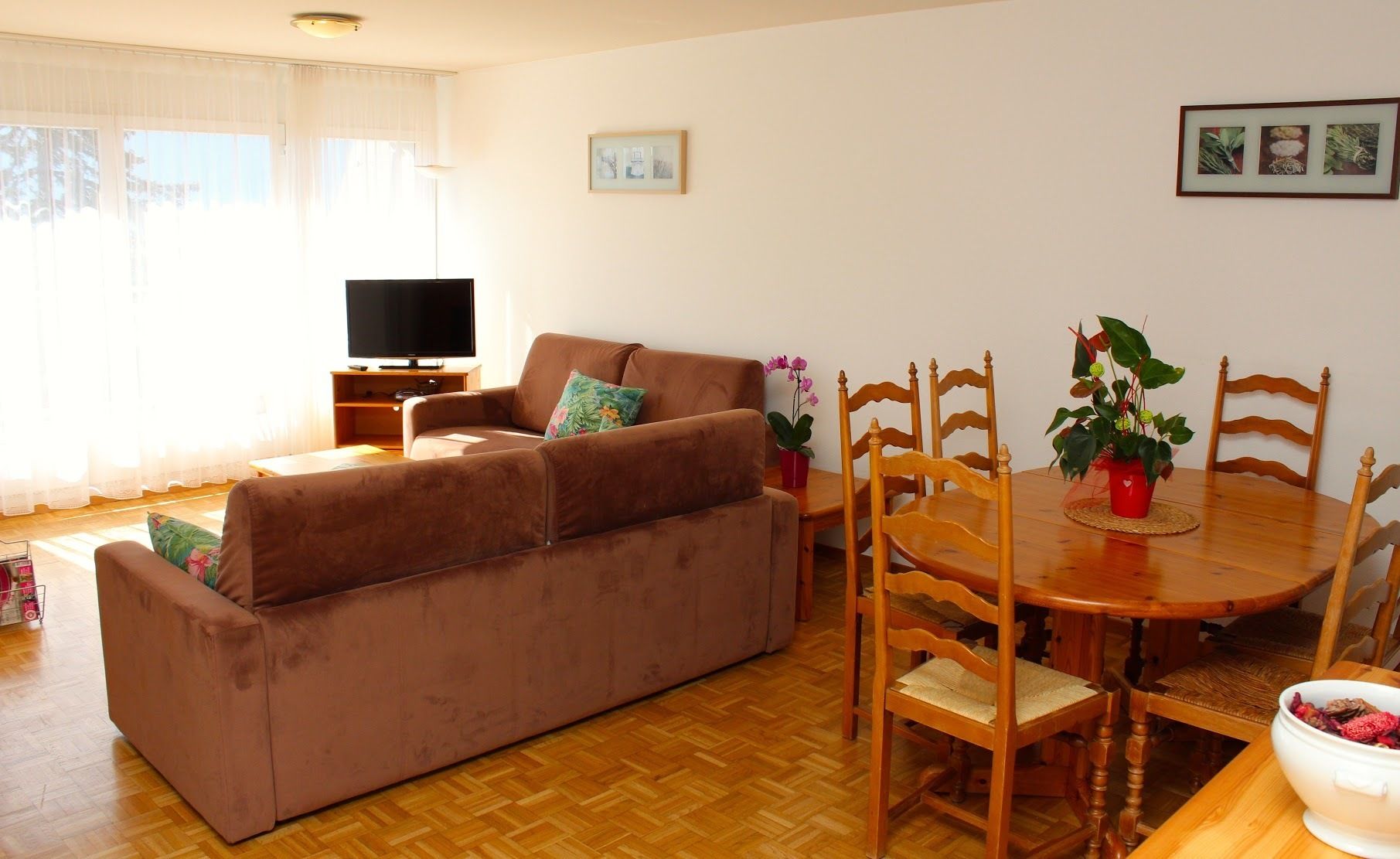 A living room with a brown sofa, wooden dining table, and chairs. A television is on a stand, and there are potted plants on the table.