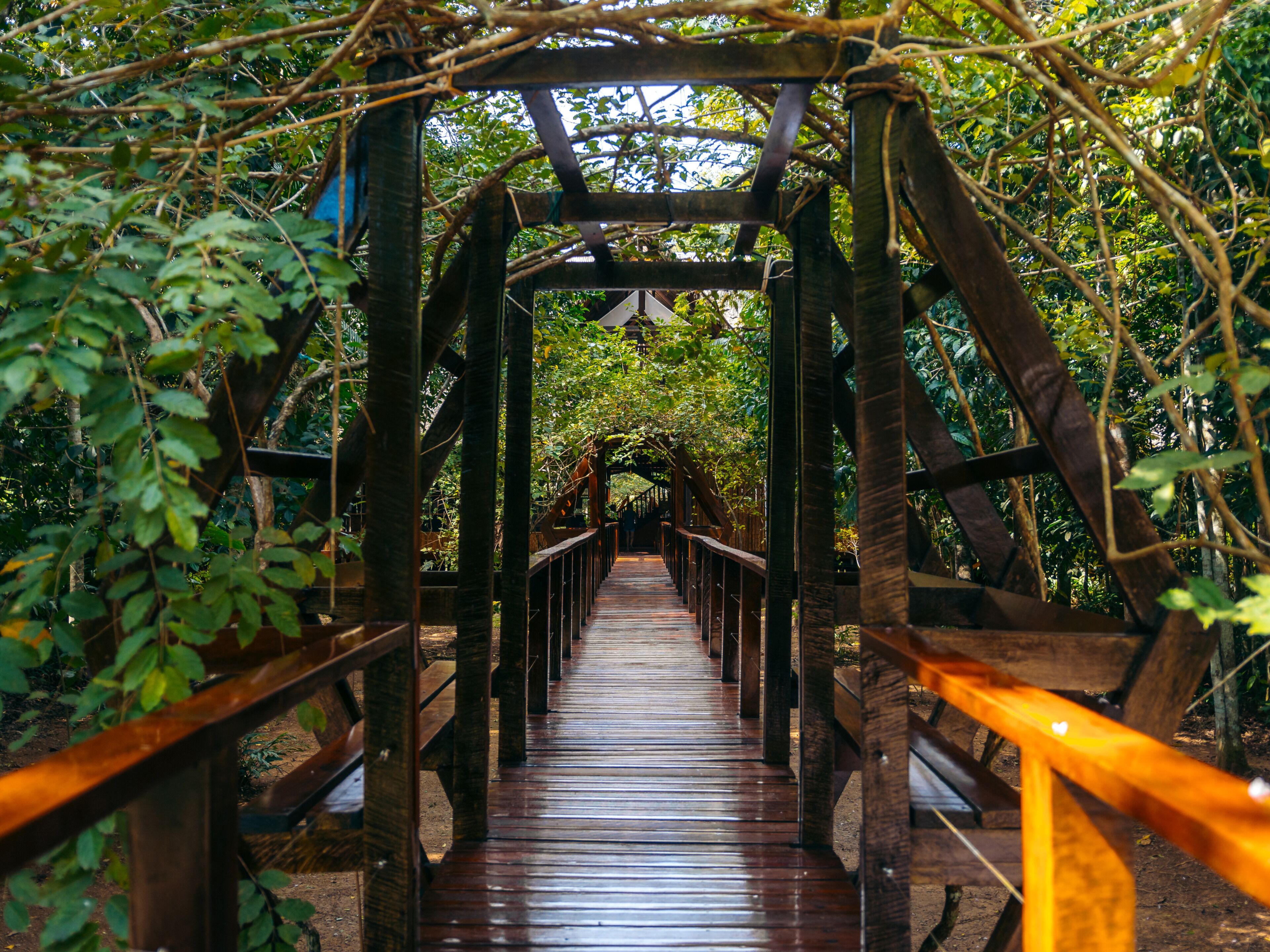 Un pont piétonnier en bois, doté d’une rambarde métallique, entouré d’un feuillage dense.