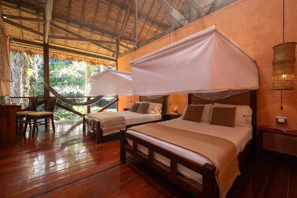 Rainforest Comfort Twin Room | Ropa de cama hipoalergénica y caja de seguridad en la habitación