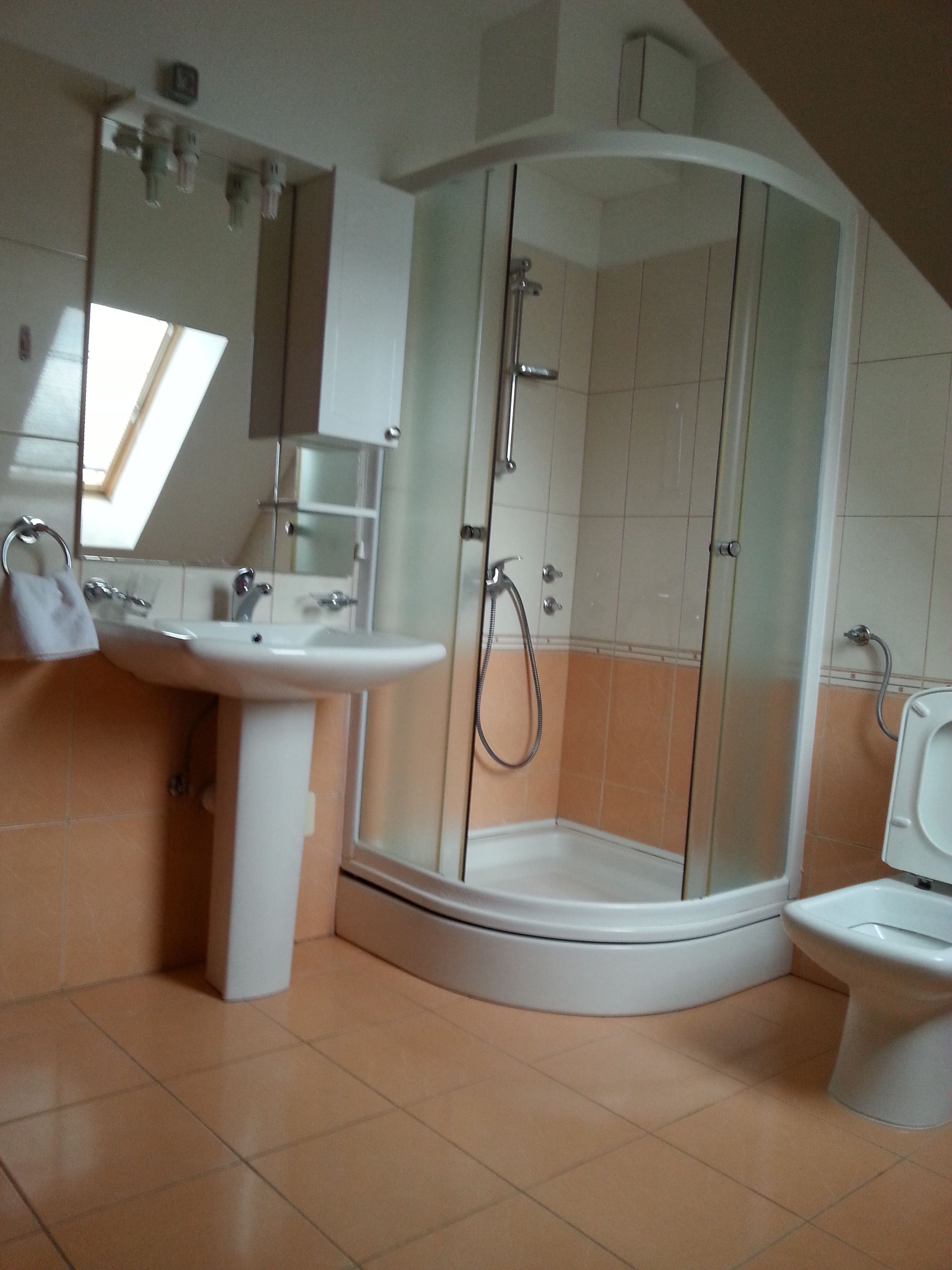 A modern bathroom with a glass-enclosed shower, a sink, and a toilet.