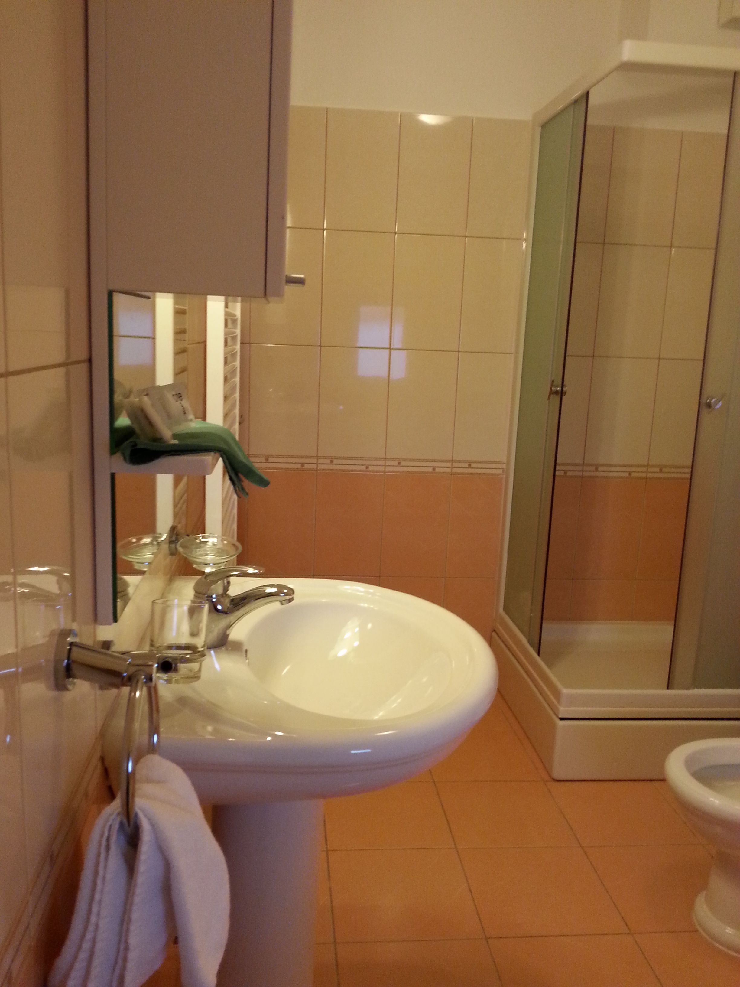 A bathroom with a sink, mirror, and shower.