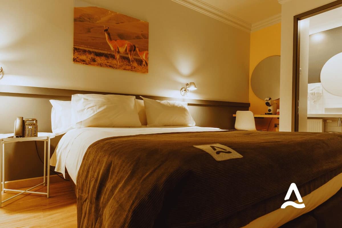 Basic Double Room | 1 bedroom, premium bedding, pillowtop beds, minibar