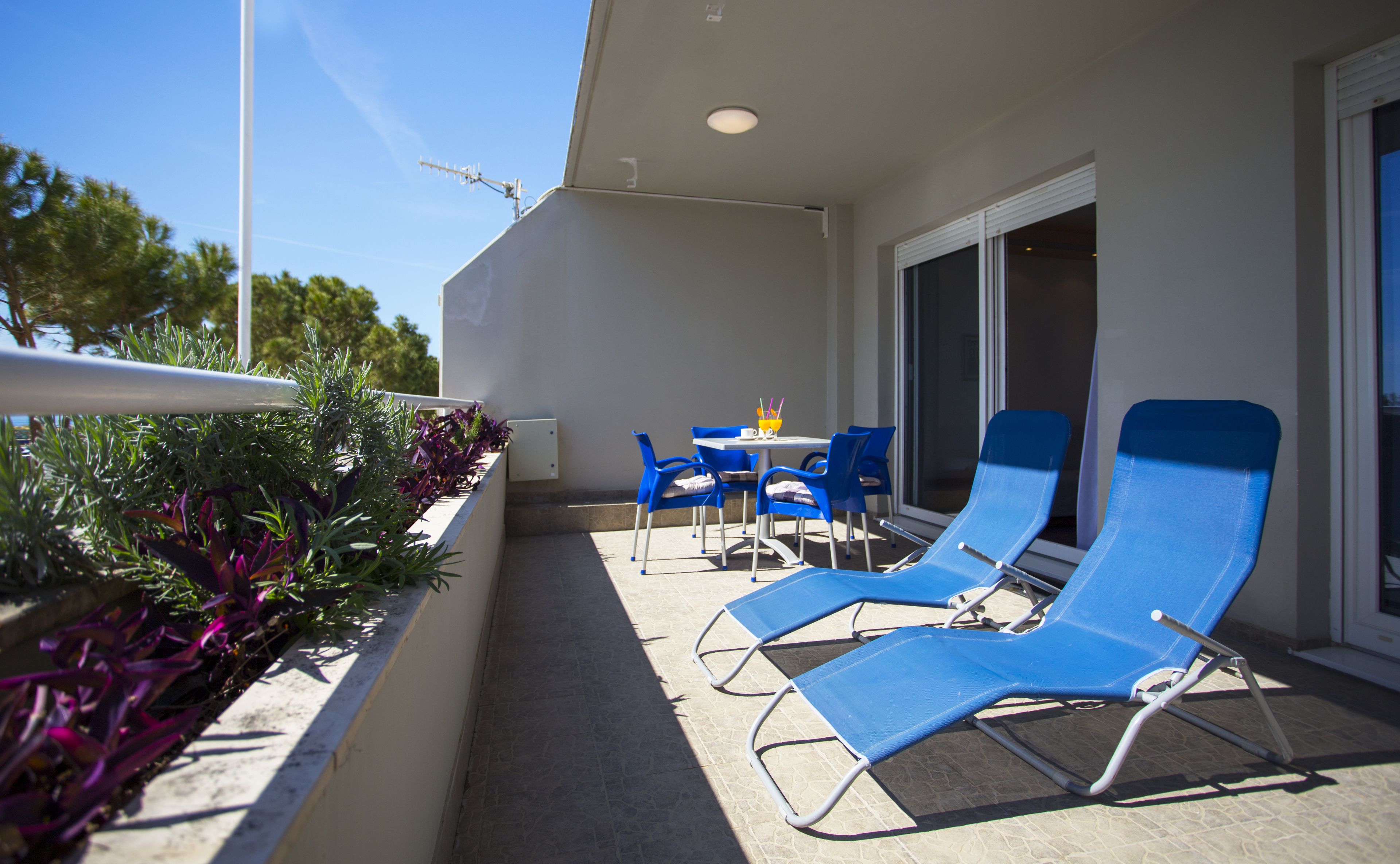 family suite, terrace | balcony view