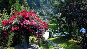 A stone pathway leading through a garden with a brick planter and vibrant red flowers.