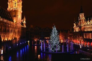 Un bâtiment historique à l’architecture riche et ornée, avec un grand sapin de Noël placé au centre.
