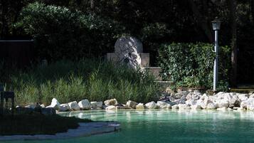A tranquil outdoor pool area with clear water, surrounded by rocks and greenery.