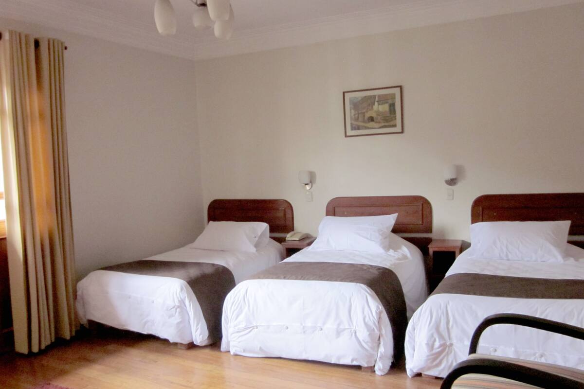 Una habitación de hotel con tres camas individuales, piso de madera, alfombra rosa y un cuadro en la pared.
