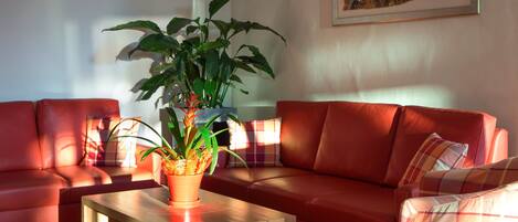 A living room with a red sofa, a wooden coffee table, and a potted plant.
