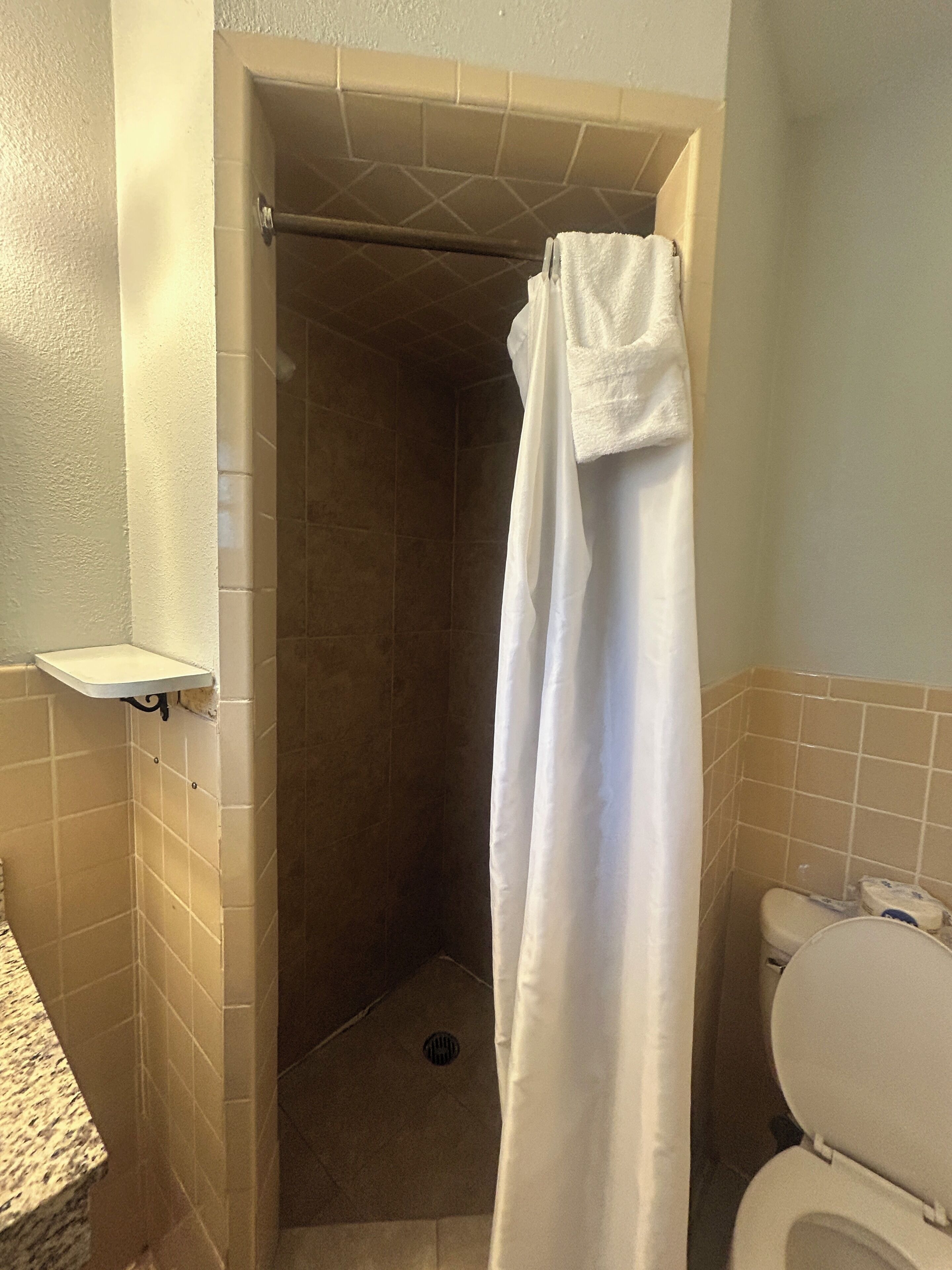 A bathroom with a shower, toilet, and a small shelf.
