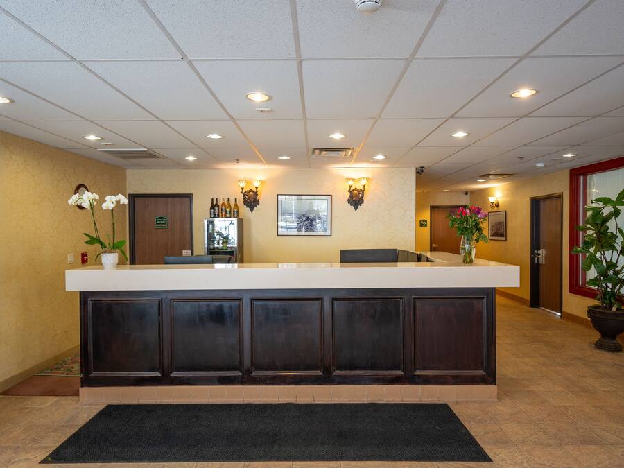A reception area with a counter, dark wood paneling, a black doormat, and a potted plant.